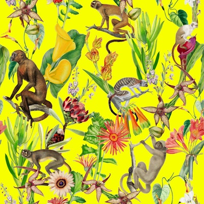 Pattern