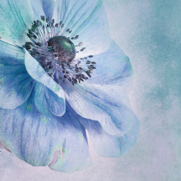 Shades of Blue