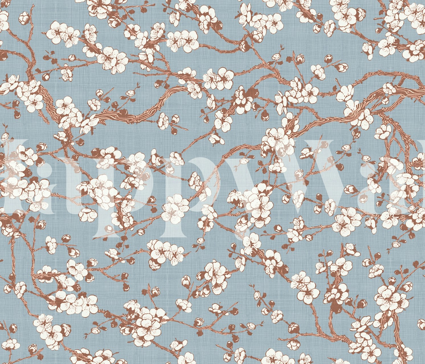 Sakura floral branches with white flowers on blue wallpaper