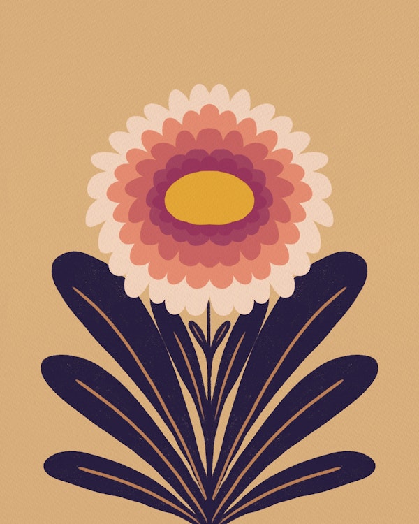 Cute modern dahlia - plum