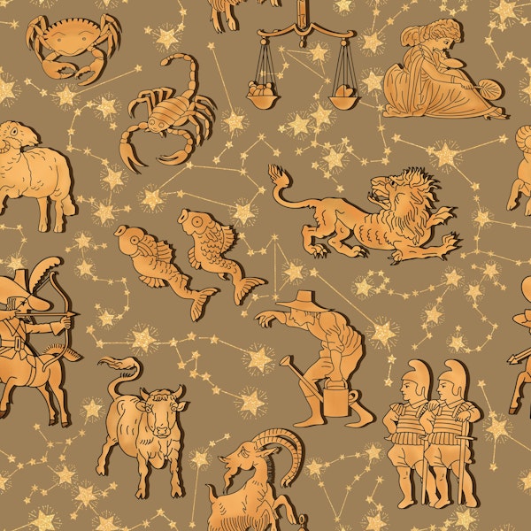 Zodiac Signs and Constellations 2