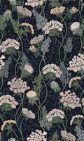 Wildflower meadow Queen Anne's lace wallpaper