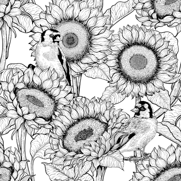 Sunflowers and goldfinches, black and white