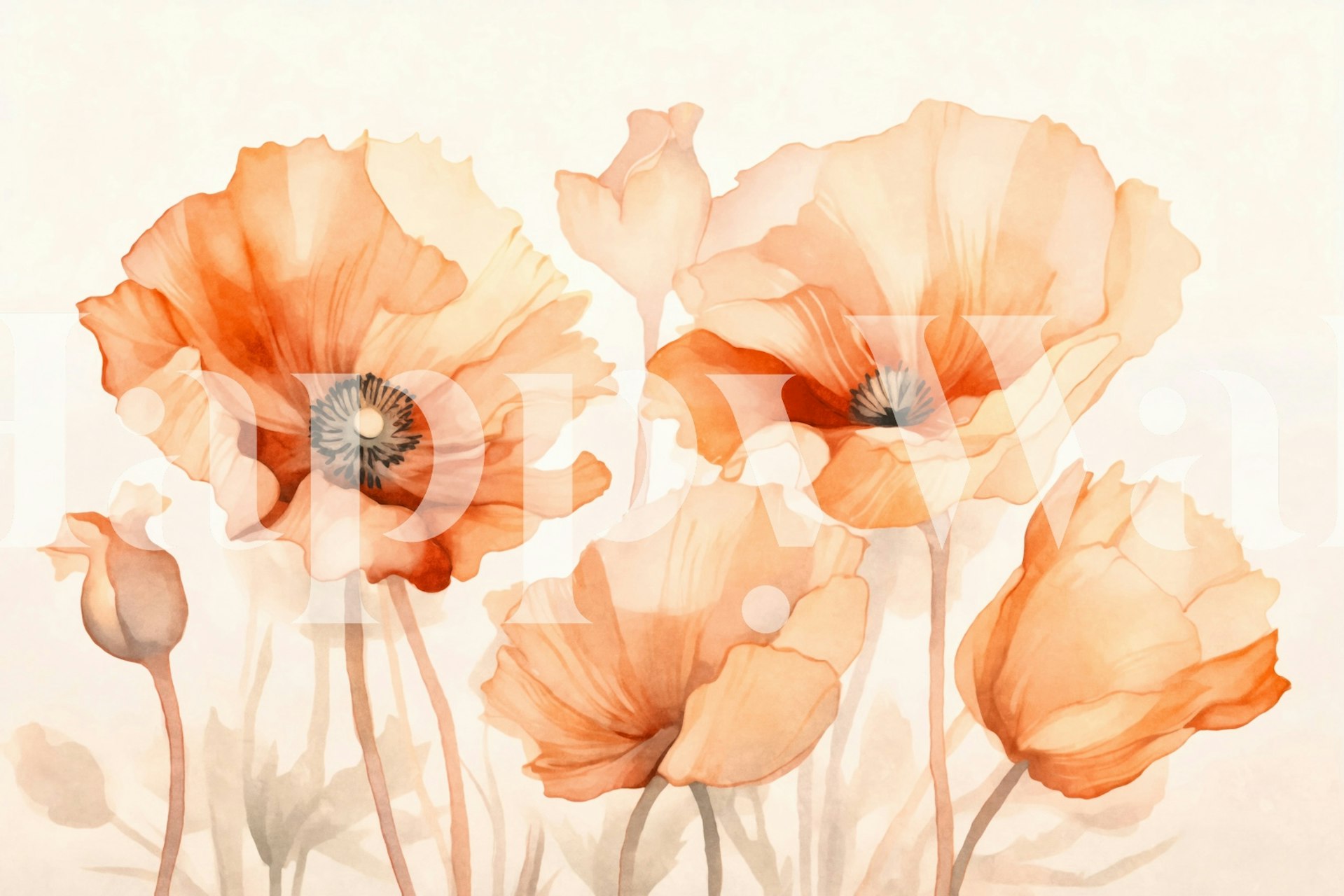 Eleganta akvarellvallmo i persika nyanser på en väggmålning