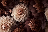 Opulent Moody Dahlia Flowers Brown tapete
