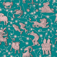Zodiac Signs and Constellations 4 tapet