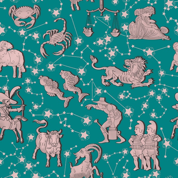 Zodiac Signs and Constellations 4