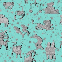 Zodiac Signs and Constellations 5 papiers peint