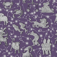 Zodiac Signs and Constellations 6 tapet