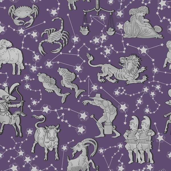 Zodiac Signs and Constellations 6