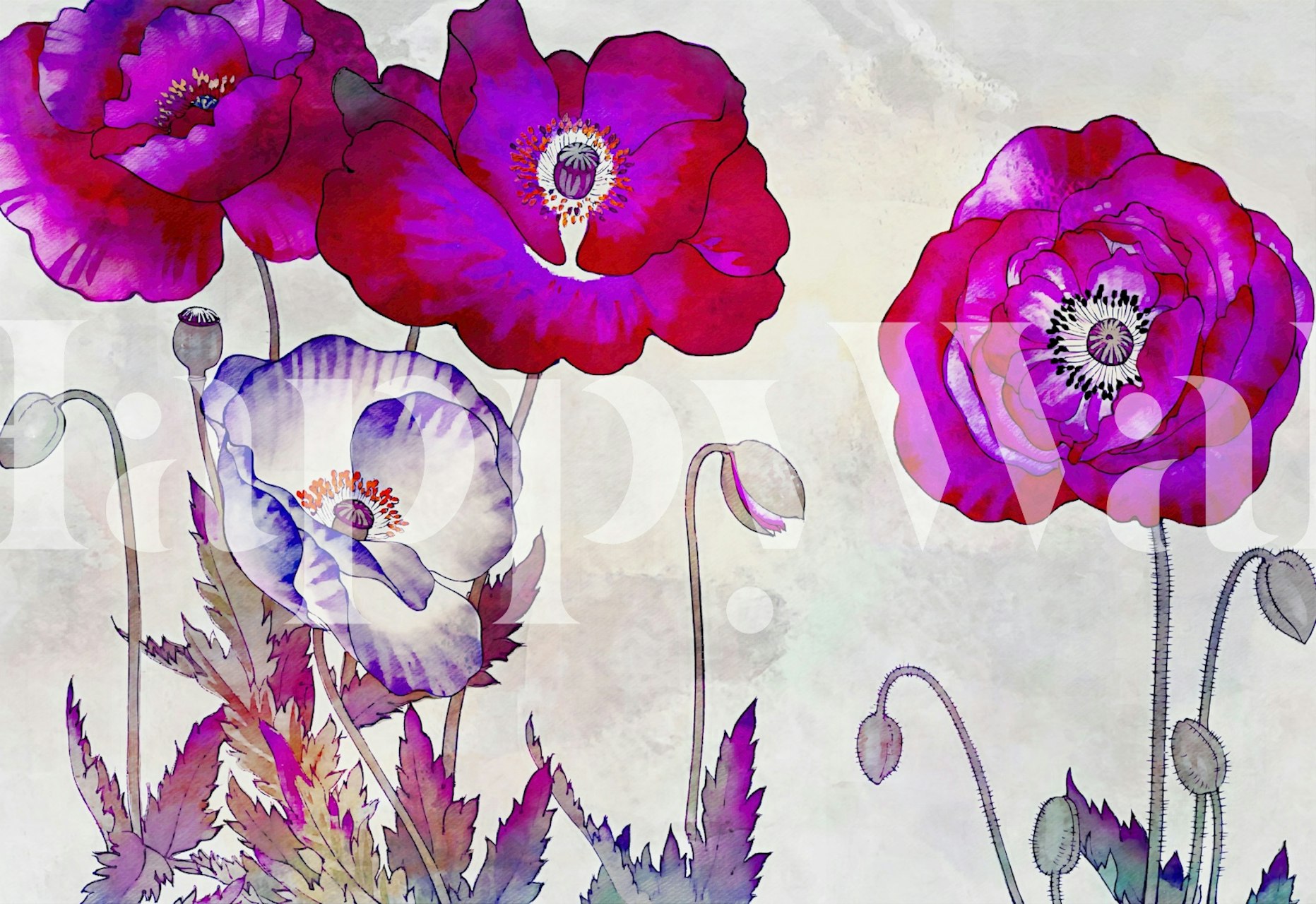 Papel de parede Vivid Spring Poppies Floral em um quarto