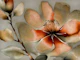 Asian Moody Floral Art