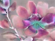 Large Wabi Sabi Floral Art