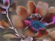 Moody Wabi Sabi Floral Art