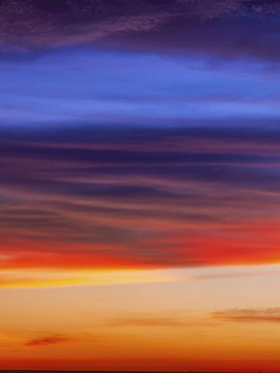 Τοιχογραφία