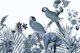 Parrot Island Cyanotype