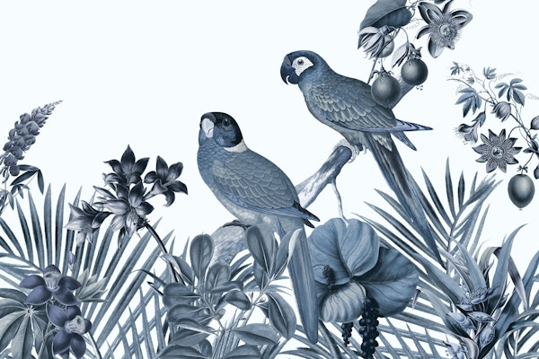 Parrot Island Cyanotype