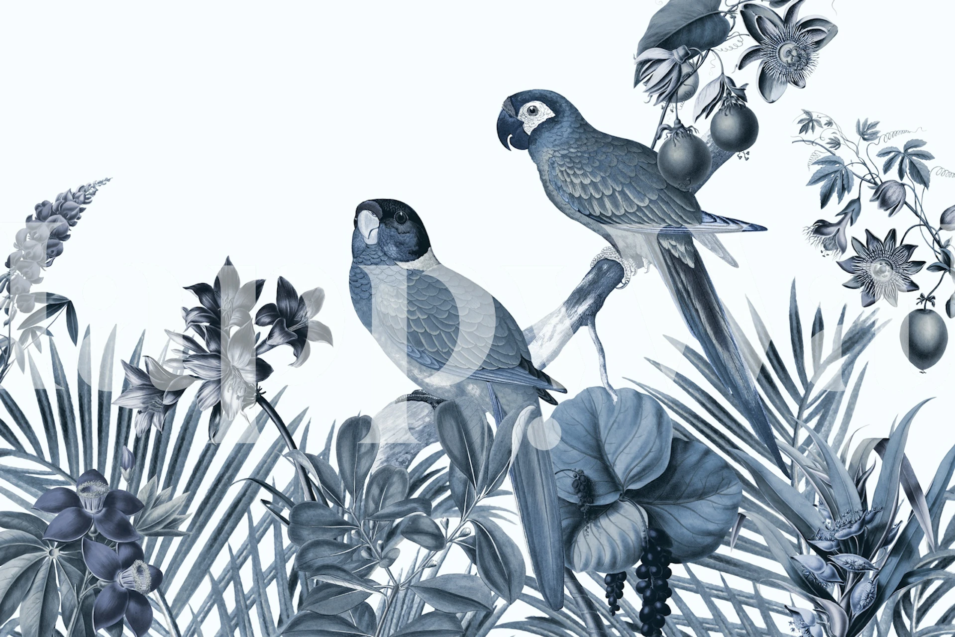 Two blue tropical parrot birds surrounded by floral patterns wallpaper