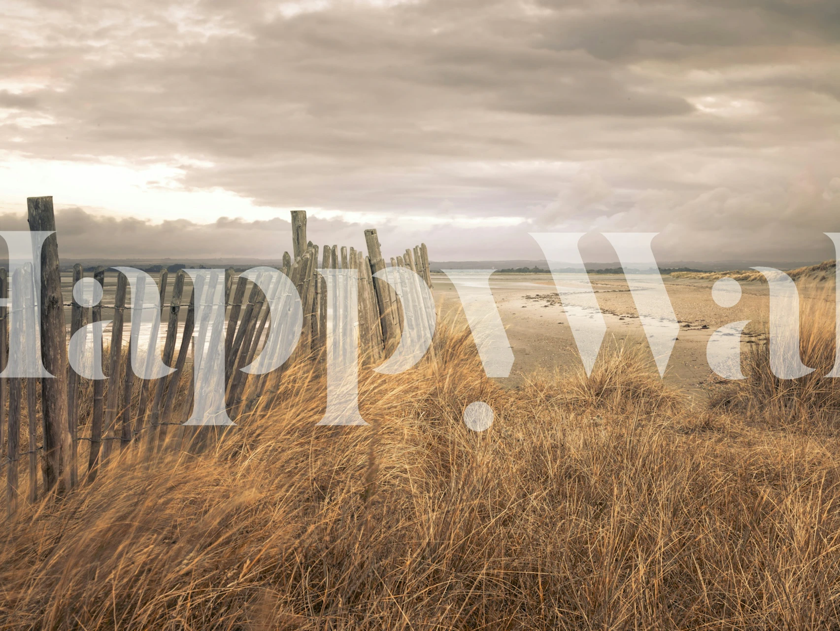 Calm coastal beach view with wooden fence and grass wallpaper