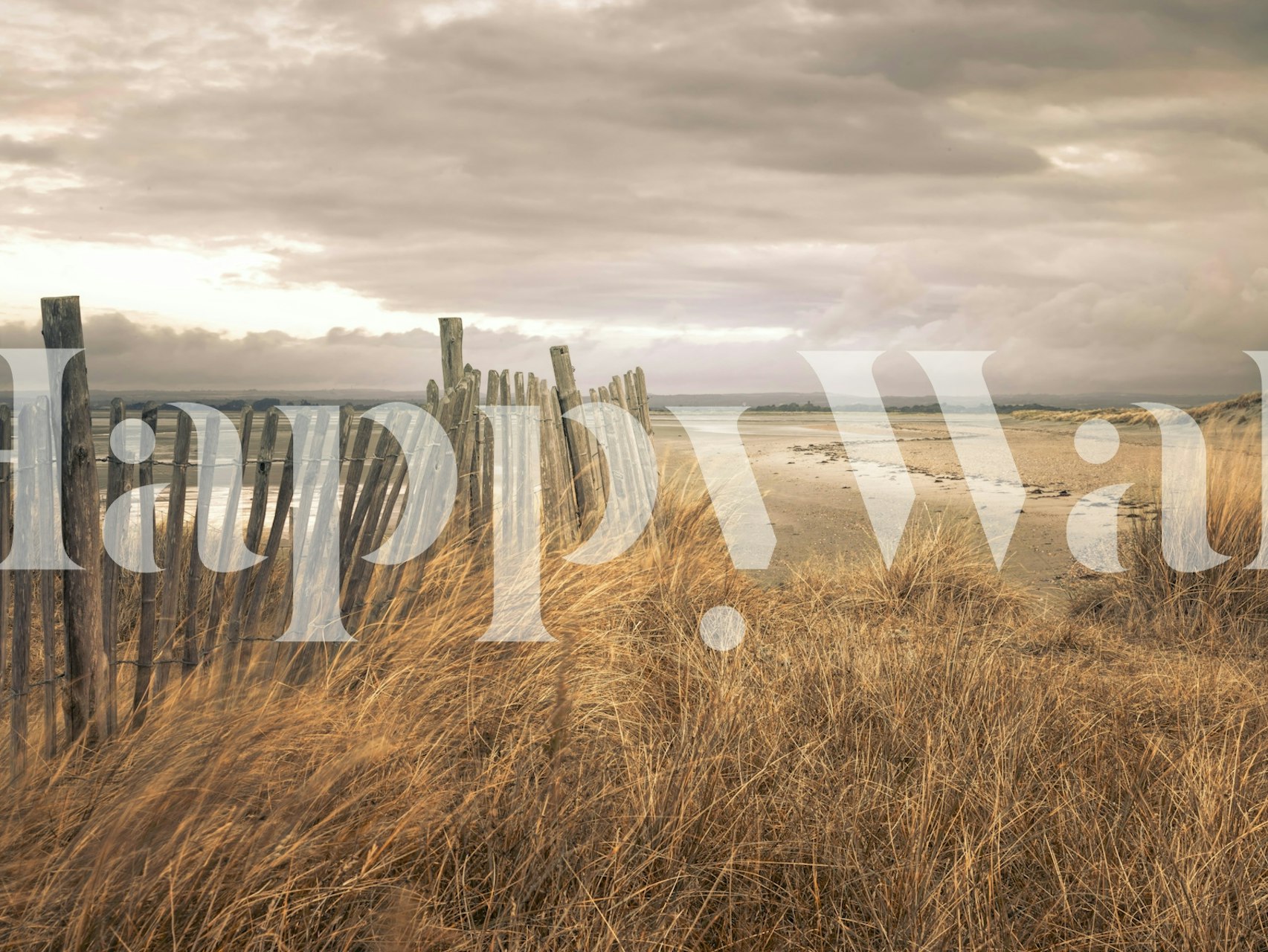 Calm coastal beach view with wooden fence and grass wallpaper