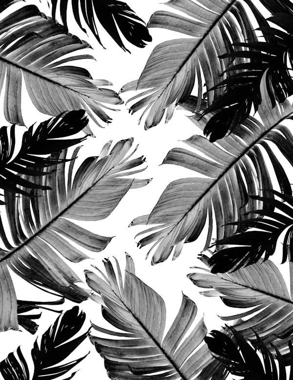Tropical Banana Leaves 1a