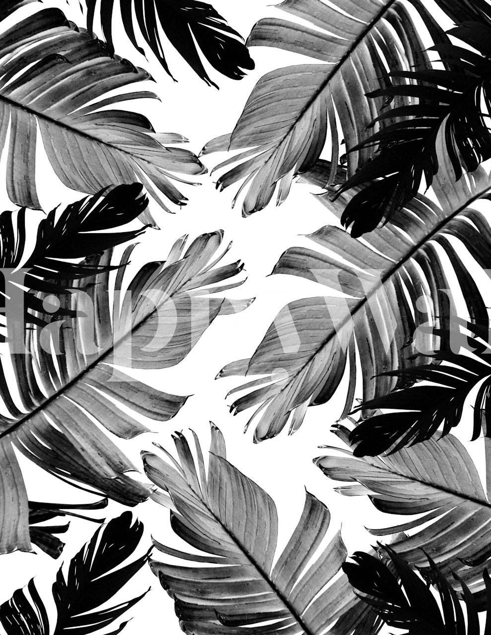 Monochromatyczna fototapeta z tropikalnymi liśćmi bananów do wystroju wnętrz