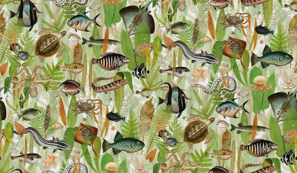 Aqua Eden in light green orange