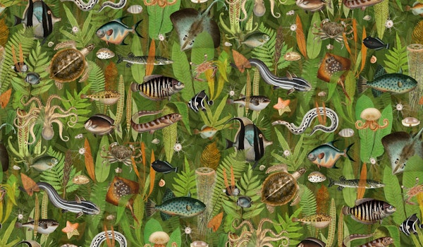 Aqua Eden in olive green orange