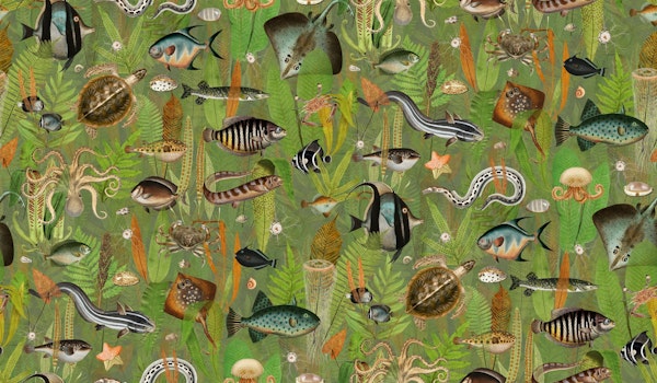 Aqua Eden in sage green orange