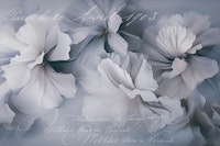 Floral Romance Memories Pastel Blue Grey tapete