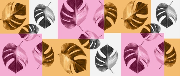 Tropical leaves composition