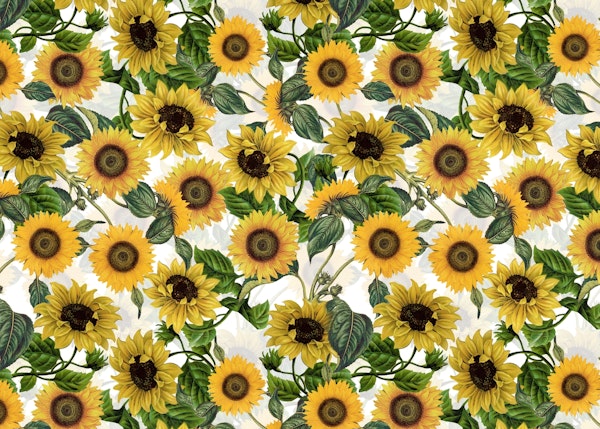 Vintage Sunflowers Forever