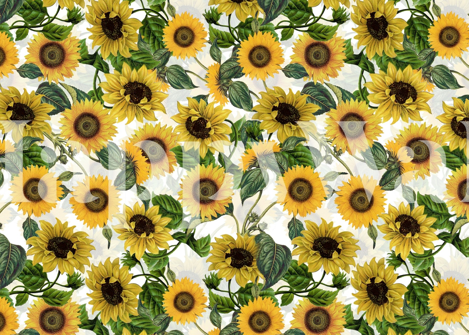 Colorful sunflowers with green leaves on a cream background wallpaper