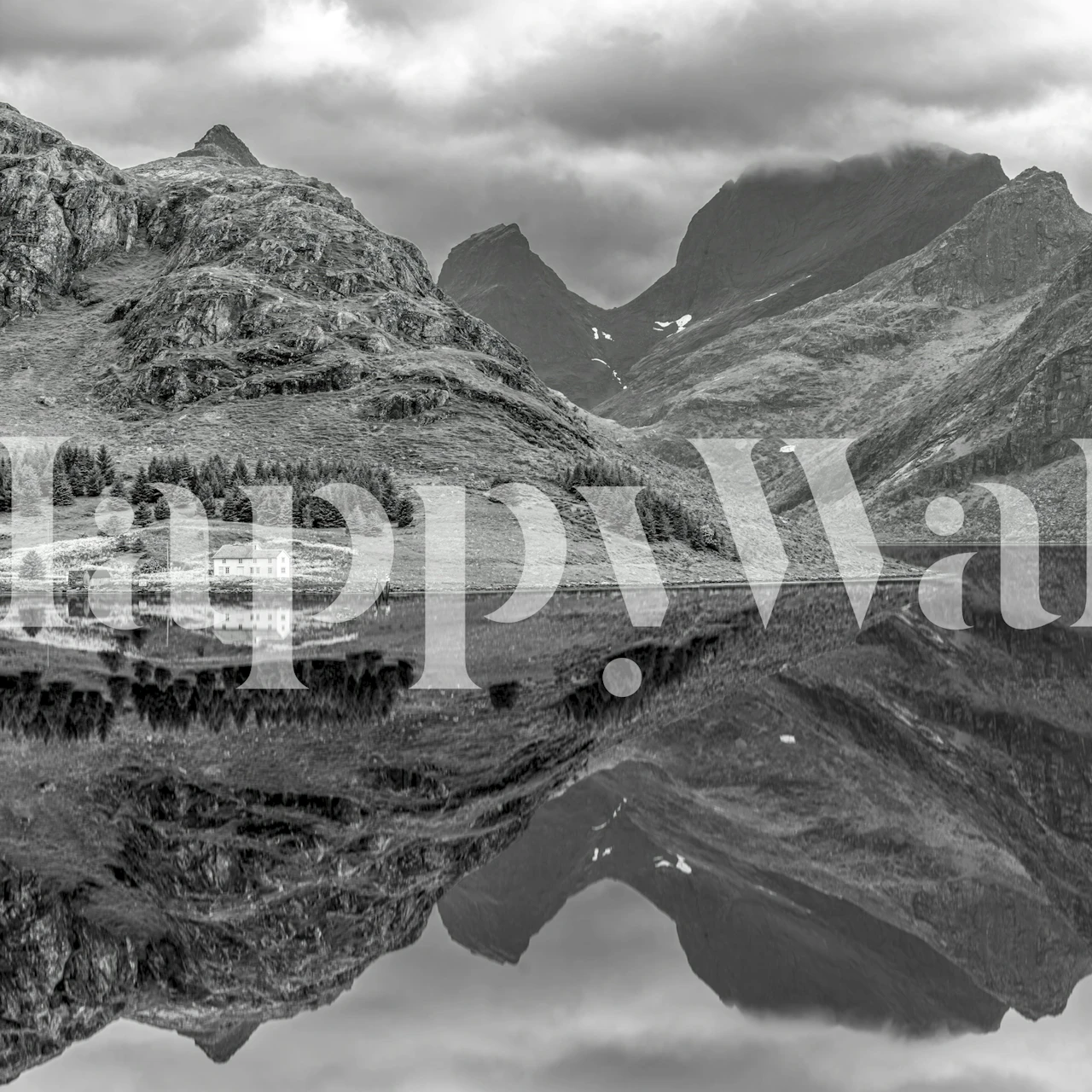 Fjord Beauty wallpaper displayed in a room