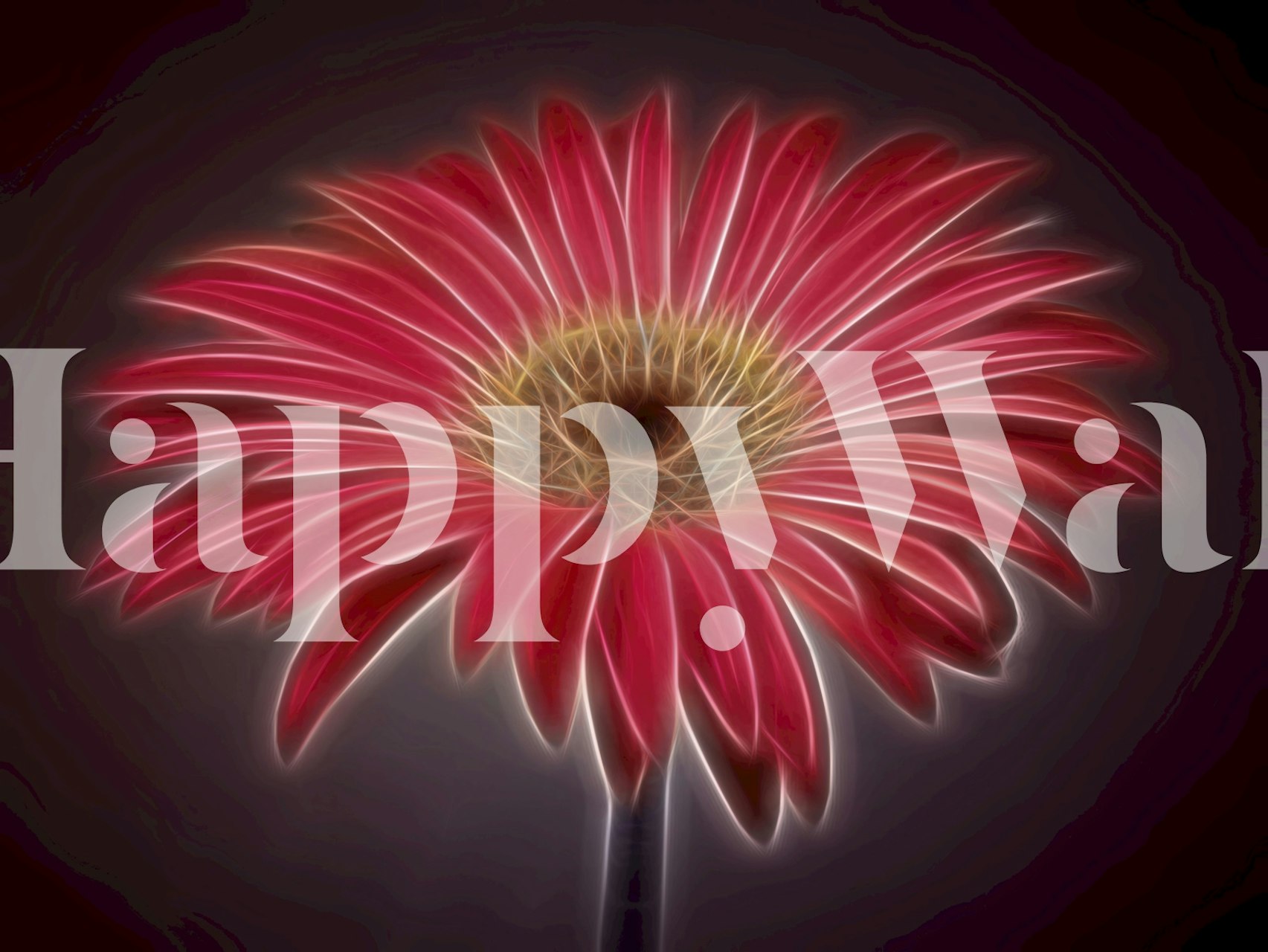 Tapeta Glowing Gerbera u sobi