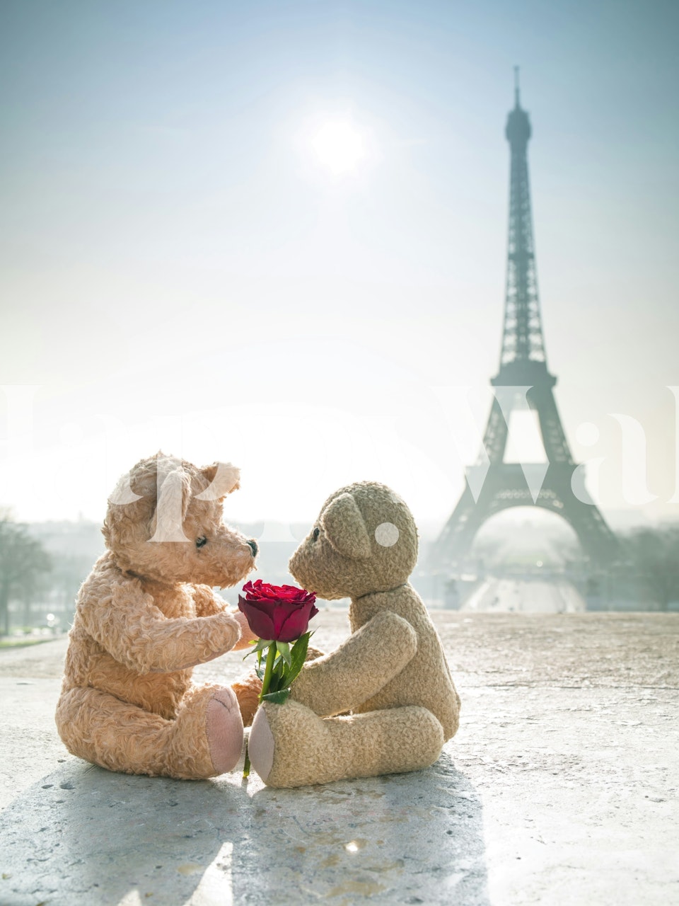 Bears in love wallpaper in a room