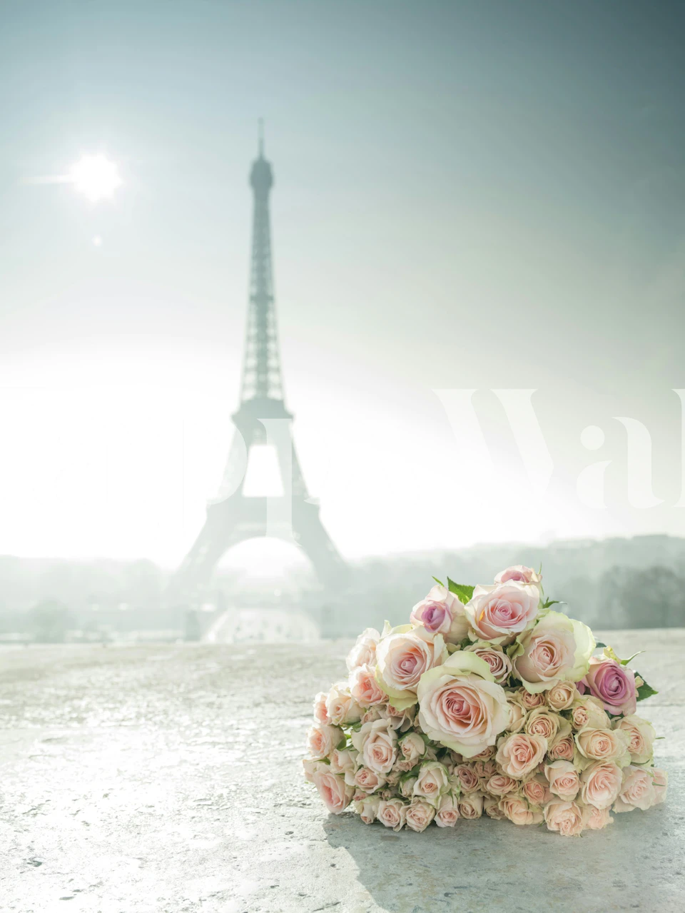 Bouquet of pink roses in front of the Eiffel Tower wallpaper