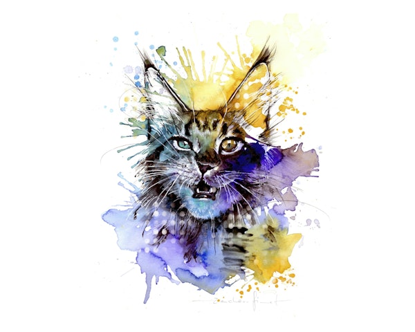 Creative Cat Colorful Art