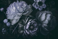 Moody Baroque Floral Symphony Midnight Blue tapete