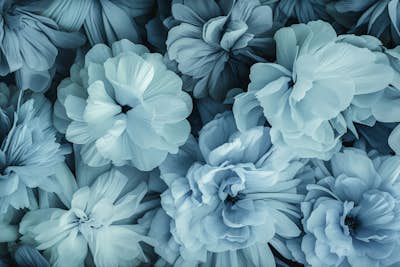 Τοιχογραφία