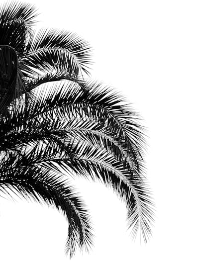 Τοιχογραφία