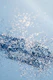 Classic Blue Glitter 1