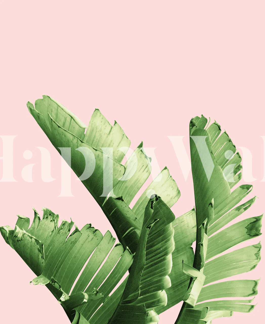 Blush Banana Leaves Dream 12 tapet i et rum