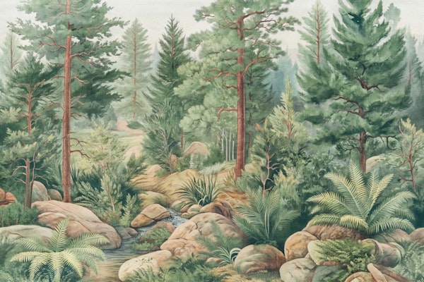 Green Pine Forest Oil Painting