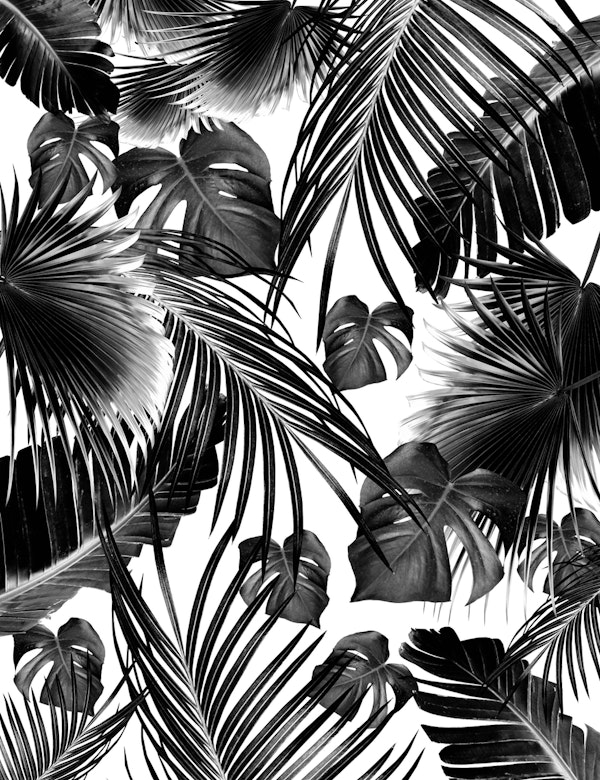 Tropical Jungle Leaves 11a