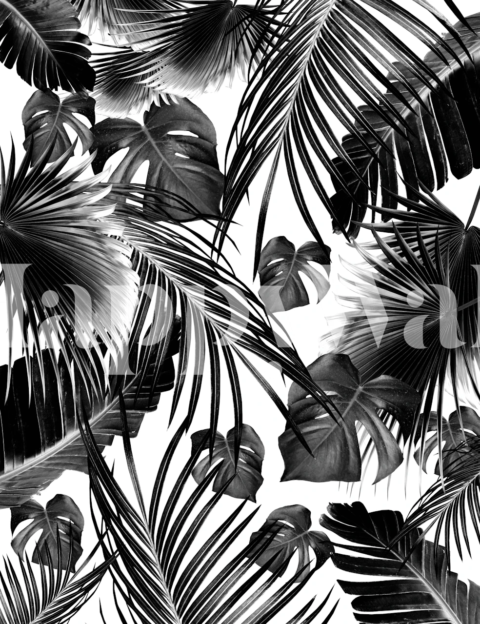 Tropical jungle leaves wallpaper in a room