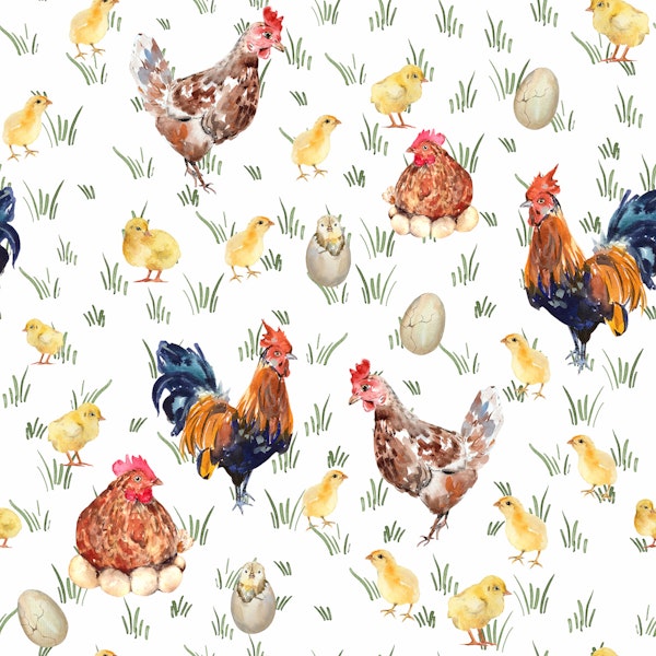 Nursery- Chicken Yard 1