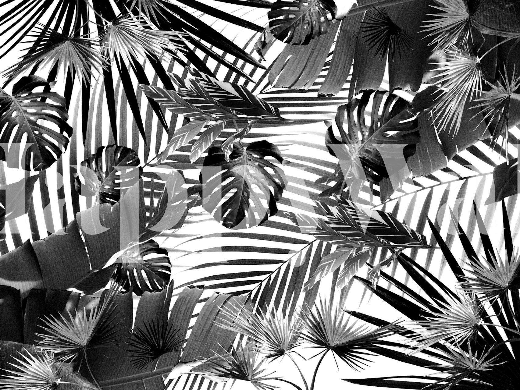 Tropical Jungle Siesta 4 behang in een kamer