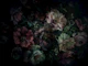 Moody Night Garden Floral