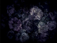 Opulent Moody Night Garden Floral wallpaper